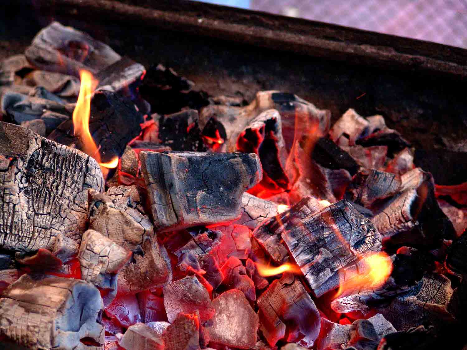 grave14.com/0/12-diid-food-yea-rea-yes-x.jpg