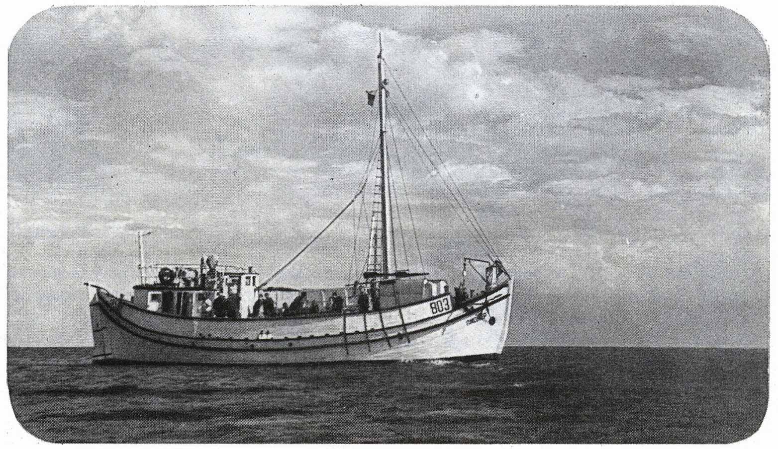 Корабль Пионер, болгарское судно на Черном море поиски тюленя-монаха