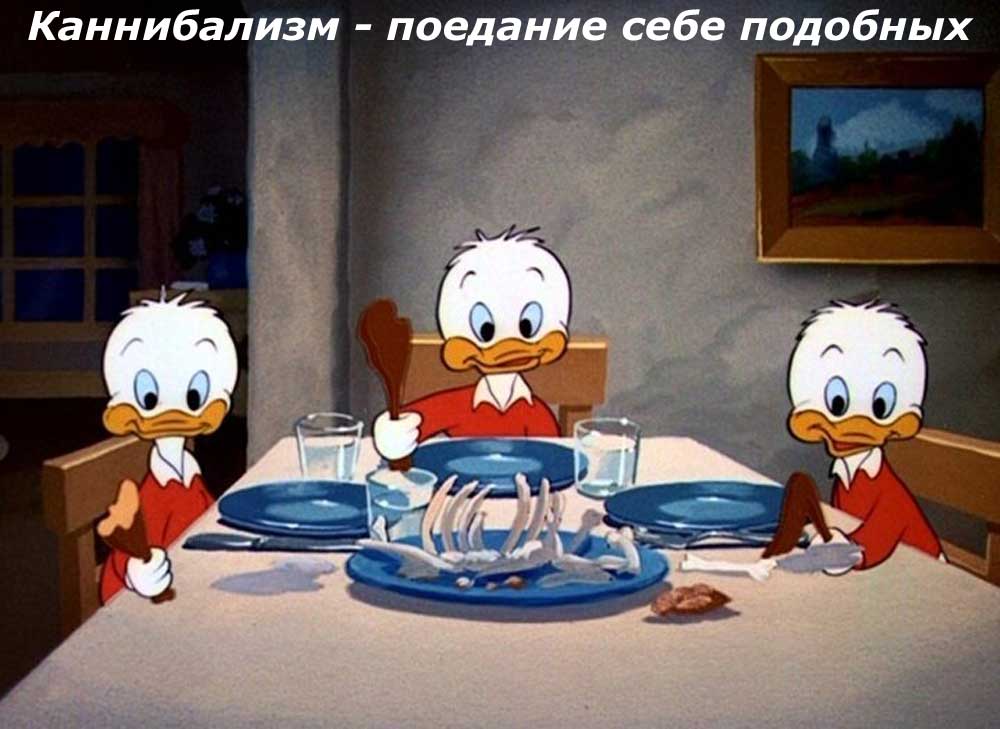 grave14.com/24/4-in-des-uzzer-ru-site-name-who-nemo-x.jpg